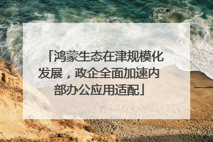 鸿蒙生态在津规模化发展，政企全面加速内部办公应用适配