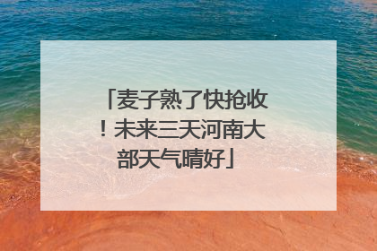 麦子熟了快抢收！未来三天河南大部天气晴好