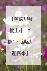 黄陂早鲜桃上市 “桃”气满满迎客来