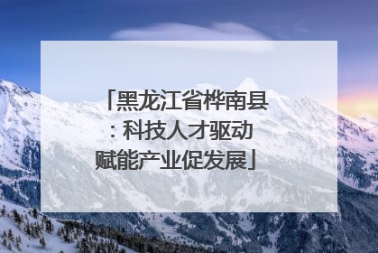 黑龙江省桦南县：科技人才驱动 赋能产业促发展