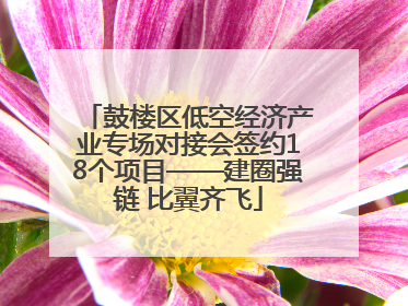 鼓楼区低空经济产业专场对接会签约18个项目——建圈强链 比翼齐飞