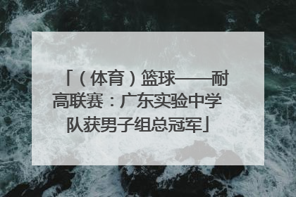 （体育）篮球——耐高联赛：广东实验中学队获男子组总冠军