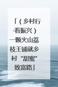 （乡村行·看振兴）一颗火山荔枝王铺就乡村“甜蜜”致富路
