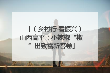 （乡村行·看振兴）山西高平：小辣椒“椒”出致富新答卷
