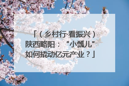 （乡村行·看振兴）陕西略阳：“小瓢儿”如何撬动亿元产业？