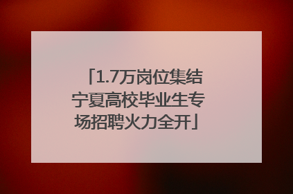1.7万岗位集结 宁夏高校毕业生专场招聘火力全开