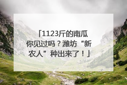 1123斤的南瓜你见过吗？潍坊“新农人”种出来了！