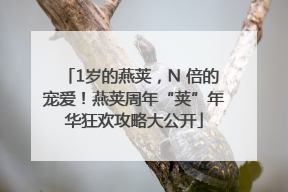 1岁的燕荚，N 倍的宠爱！燕荚周年“荚”年华狂欢攻略大公开