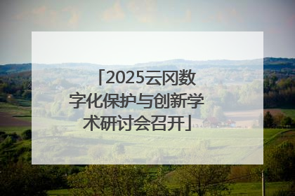 2025云冈数字化保护与创新学术研讨会召开