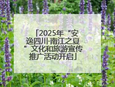 2025年“安逸四川·南江之夏”文化和旅游宣传推广活动开启