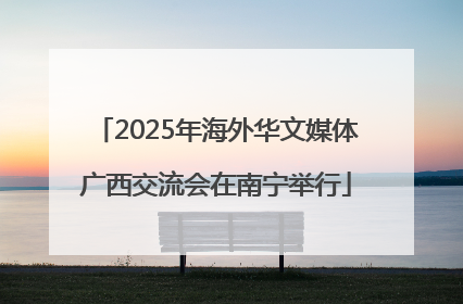 2025年海外华文媒体广西交流会在南宁举行