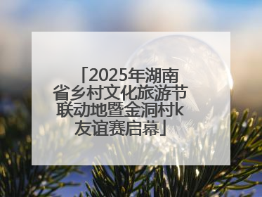 2025年湖南省乡村文化旅游节联动地暨金洞村k友谊赛启幕