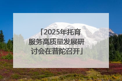 2025年托育服务高质量发展研讨会在普陀召开
