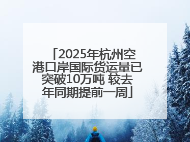 2025年杭州空港口岸国际货运量已突破10万吨 较去年同期提前一周