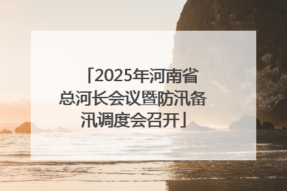 2025年河南省总河长会议暨防汛备汛调度会召开