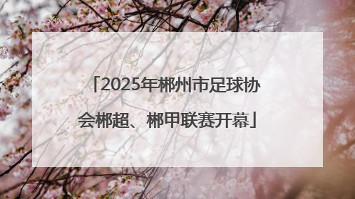 2025年郴州市足球协会郴超、郴甲联赛开幕