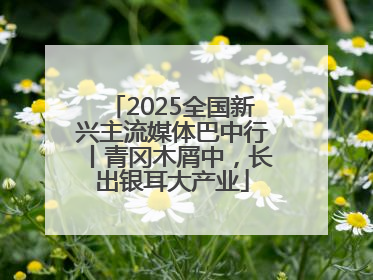 2025全国新兴主流媒体巴中行丨青冈木屑中，长出银耳大产业