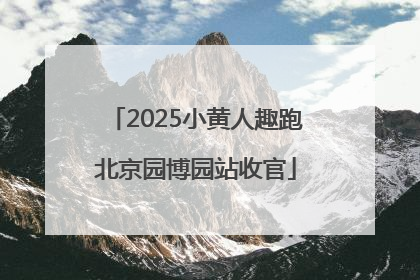 2025小黄人趣跑北京园博园站收官