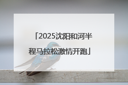 2025沈阳和河半程马拉松激情开跑