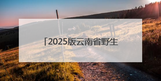 2025版云南省野生菌中毒风险地图发布！你在哪个等级地区？