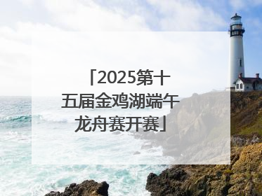 2025第十五届金鸡湖端午龙舟赛开赛