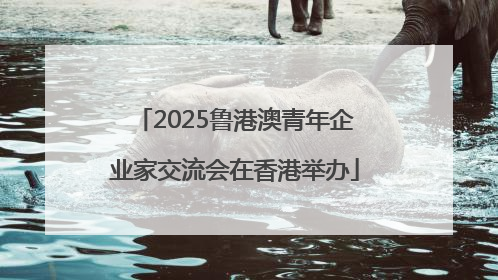 2025鲁港澳青年企业家交流会在香港举办