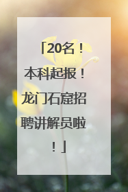 20名！本科起报！龙门石窟招聘讲解员啦！