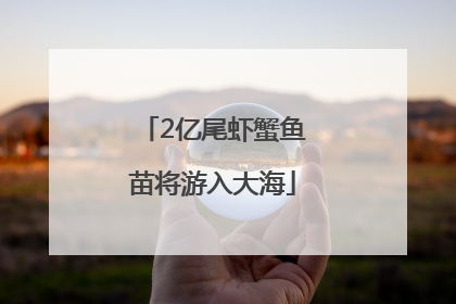 2亿尾虾蟹鱼苗将游入大海