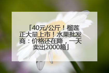 40元/公斤！榴莲正大量上市！水果批发商：价格还在降，一天卖出2000箱