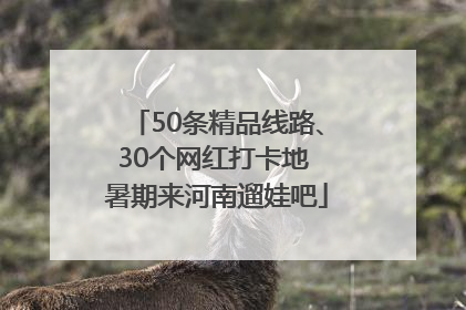 50条精品线路、30个网红打卡地 暑期来河南遛娃吧
