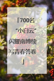 700名“小白云”闪耀南博续写青春答卷