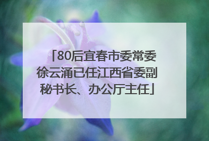 80后宜春市委常委徐云涌已任江西省委副秘书长、办公厅主任