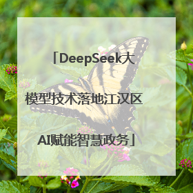 DeepSeek大模型技术落地江汉区 AI赋能智慧政务