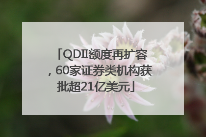 QDII额度再扩容，60家证券类机构获批超21亿美元